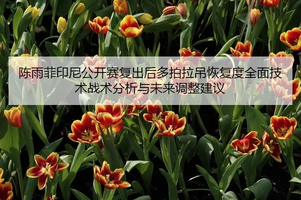 陈雨菲印尼公开赛复出后多拍拉吊恢复度全面技术战术分析与未来调整建议