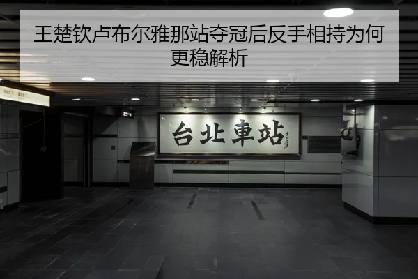 王楚钦卢布尔雅那站夺冠后反手相持为何更稳解析