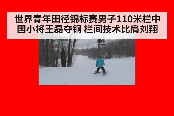 世界青年田径锦标赛男子110米栏中国小将王磊夺铜 栏间技术比肩刘翔