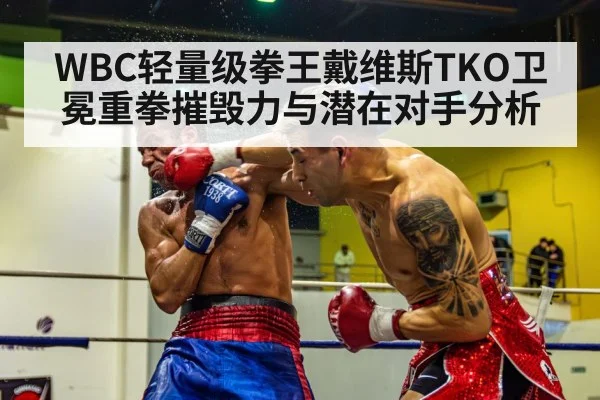 WBC轻量级拳王戴维斯TKO卫冕重拳摧毁力与潜在对手分析